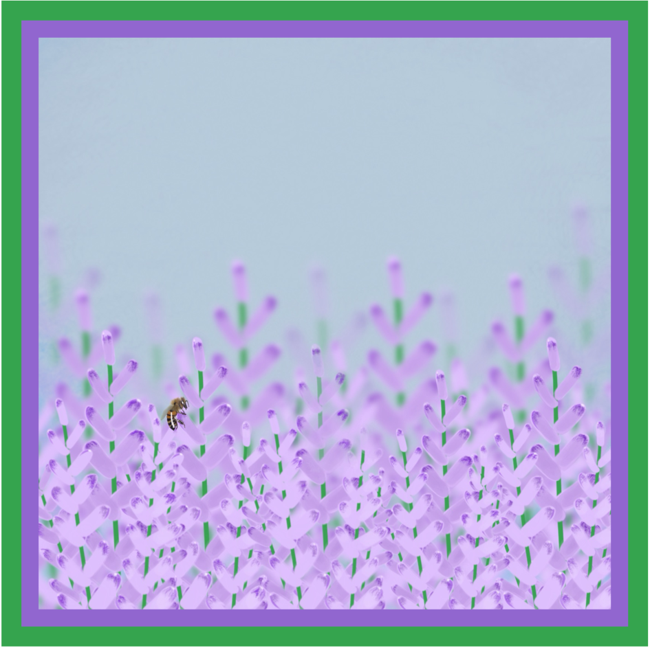 Scarf in silk twill with hand-rolled edges (100% Mulberry silk)