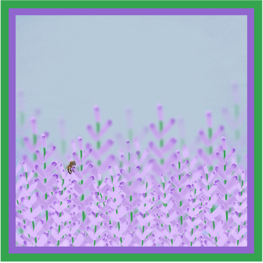 Scarf in silk twill with hand-rolled edges (100% Mulberry silk)